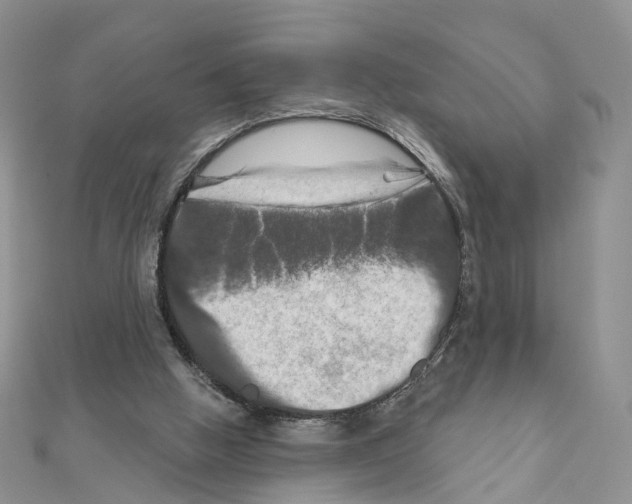 X0000111000058200907311039