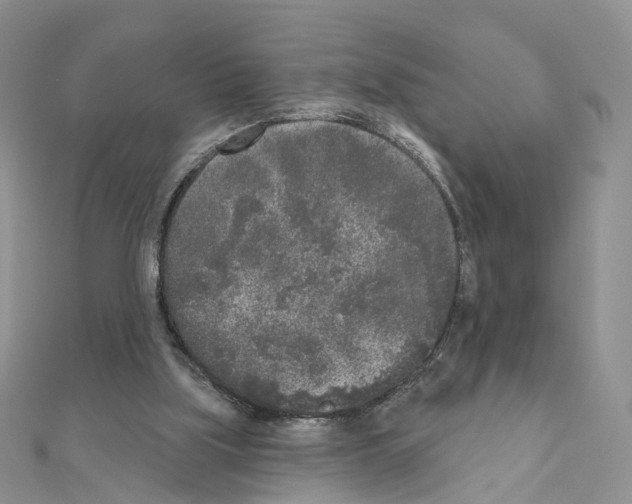 X0000111000059200907311039