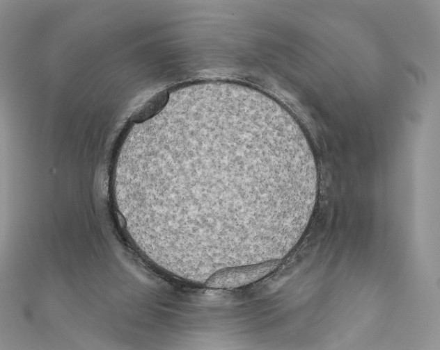 X0000111000060200907311039