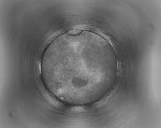 X0000111000061200907311039