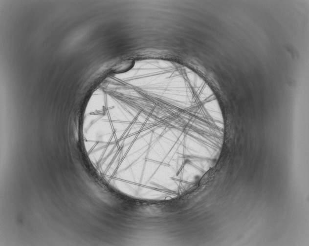 X0000111000062200907311039