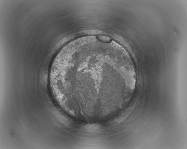 X0000111000063200907311039