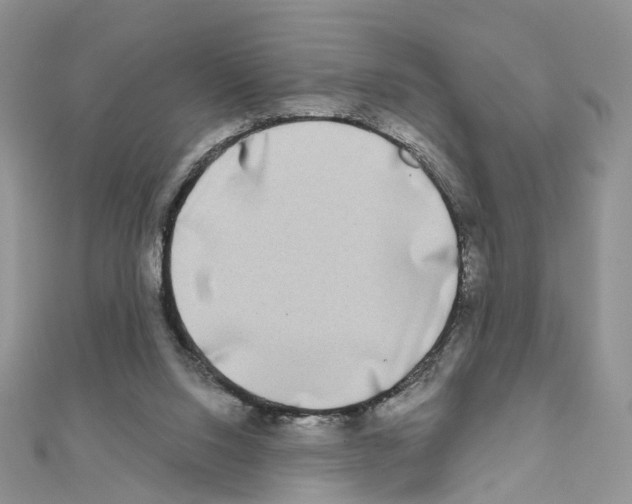 X0000111000064200907311039