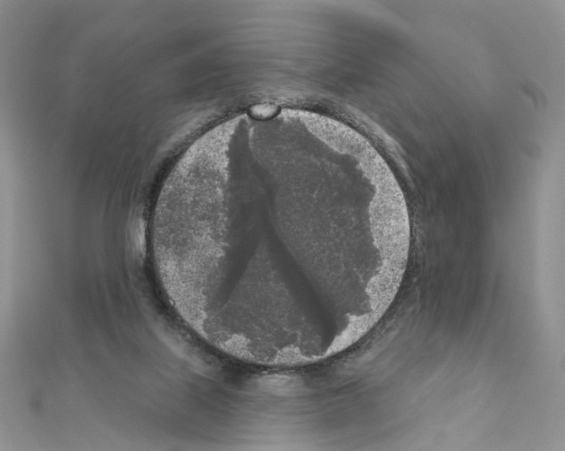 X0000111000067200907311040