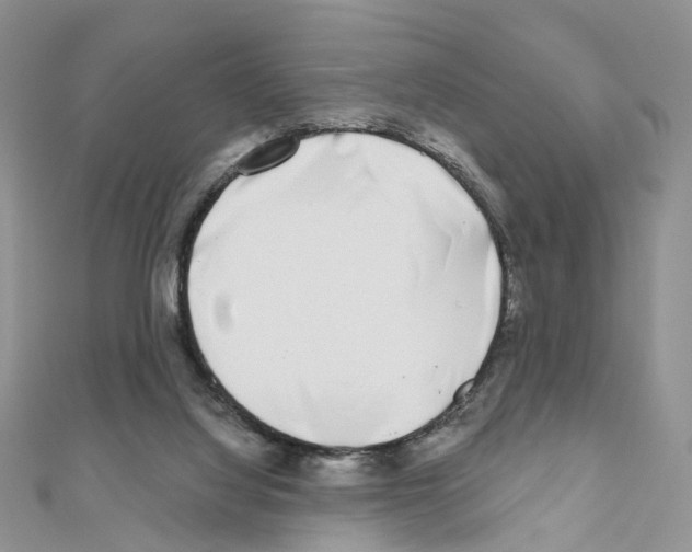 X0000111000068200907311040