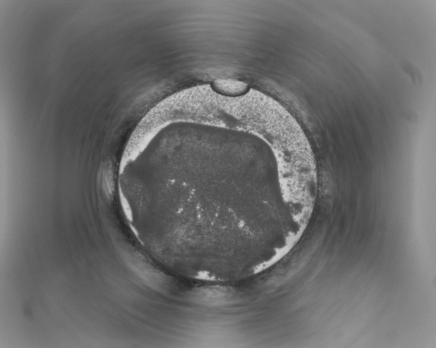 X0000111000069200907311040