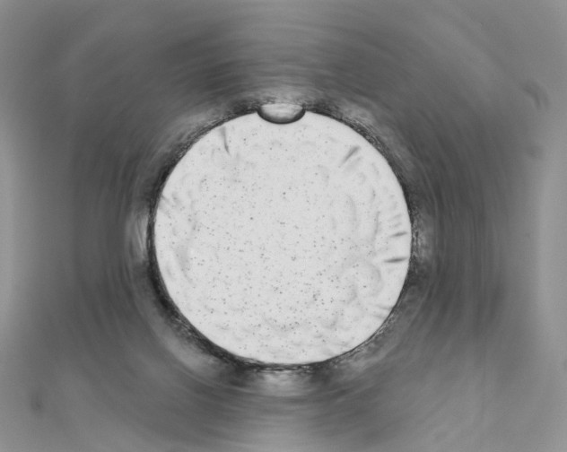 X0000111000070200907311040