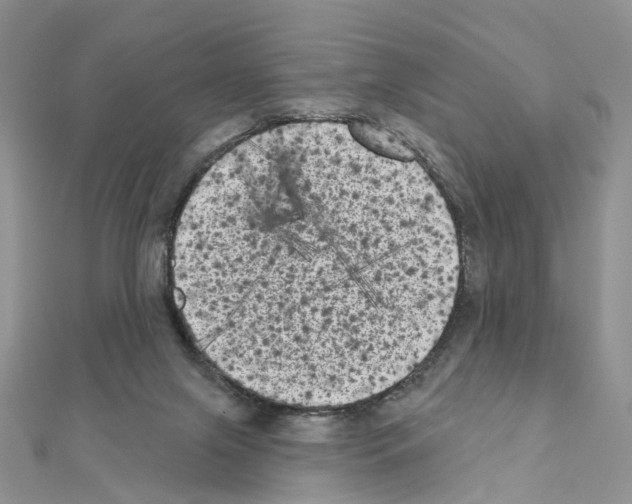 X0000111000071200907311040