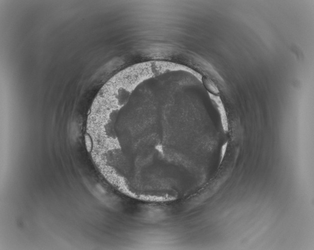 X0000111000073200907311040