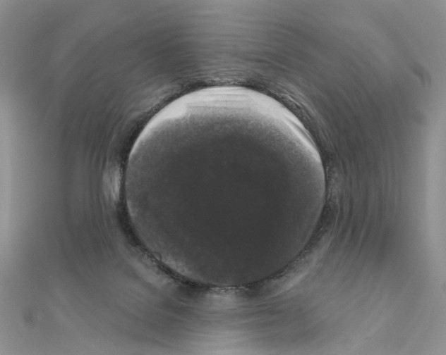 X0000111000076200907311040