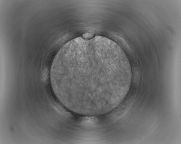 X0000111000077200907311040