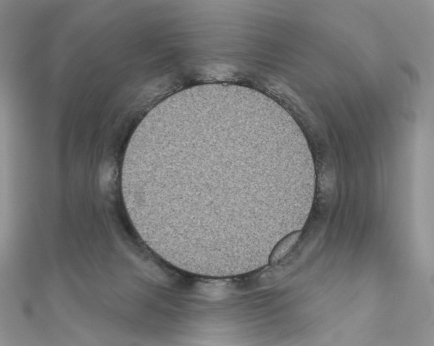 X0000111000079200907311040