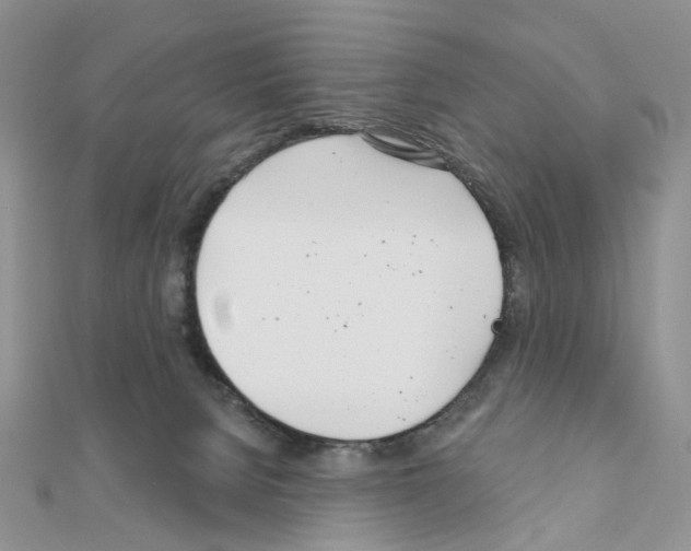 X0000111000080200907311040