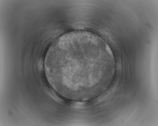 X0000111000081200907311040