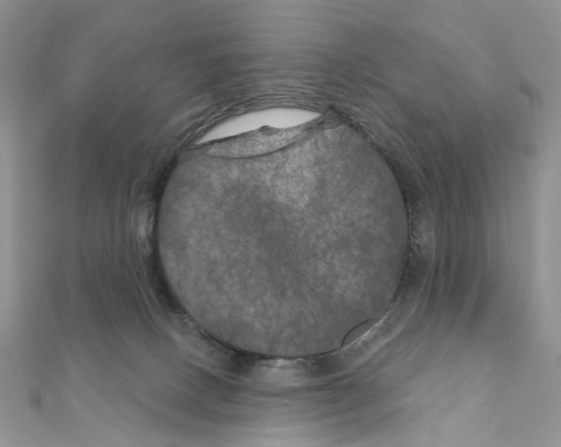 X0000111000082200907311040