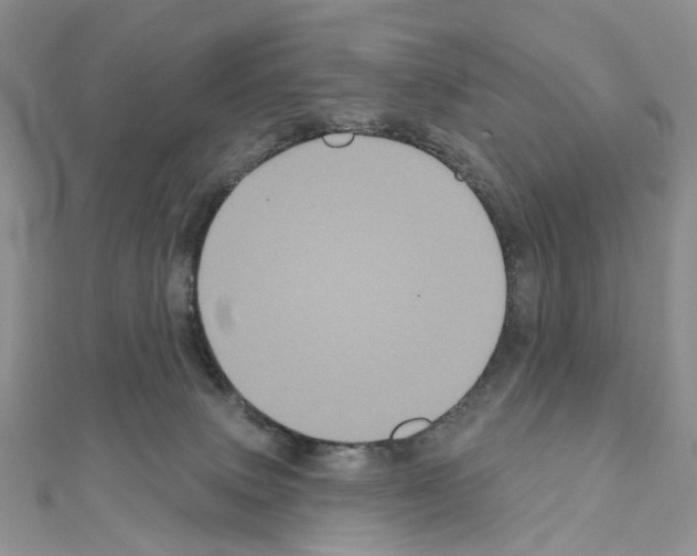 X0000111000083200907311040