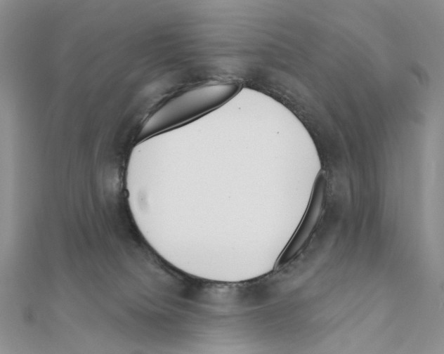 X0000111000084200907311040