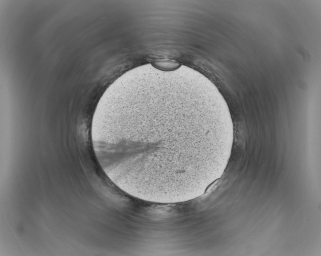 X0000111000086200907311040