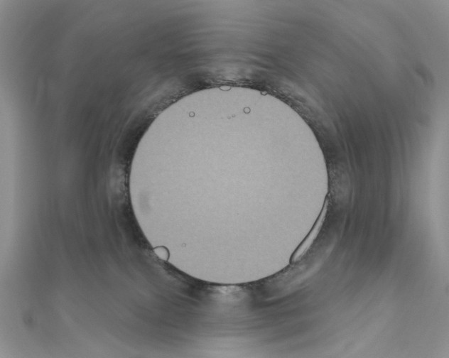 X0000111000087200907311040