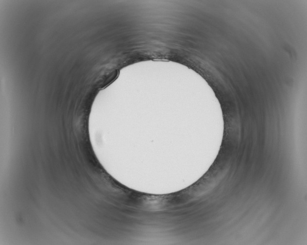 X0000111000088200907311040