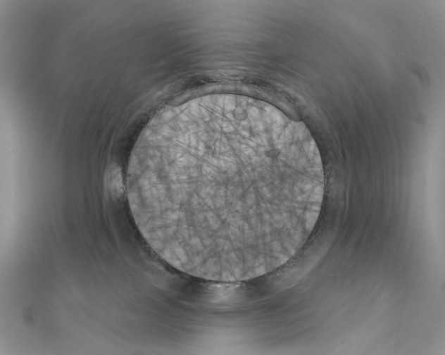 X0000111000089200907311040