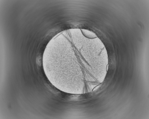 X0000111000090200907311040