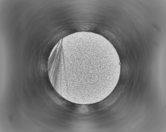 X0000111000091200907311040