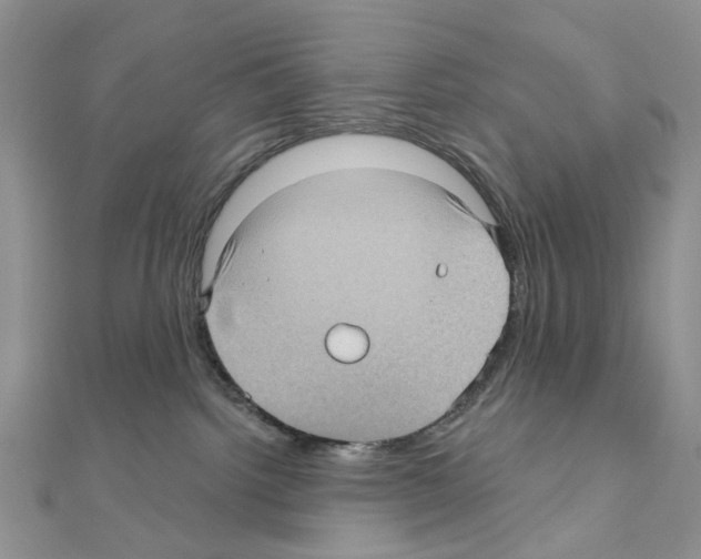 X0000111000092200907311040