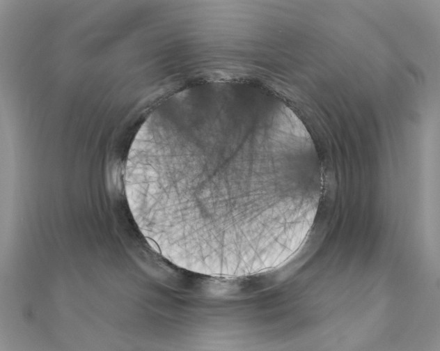 X0000111000094200907311040