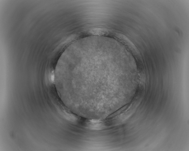 X0000111000095200907311040