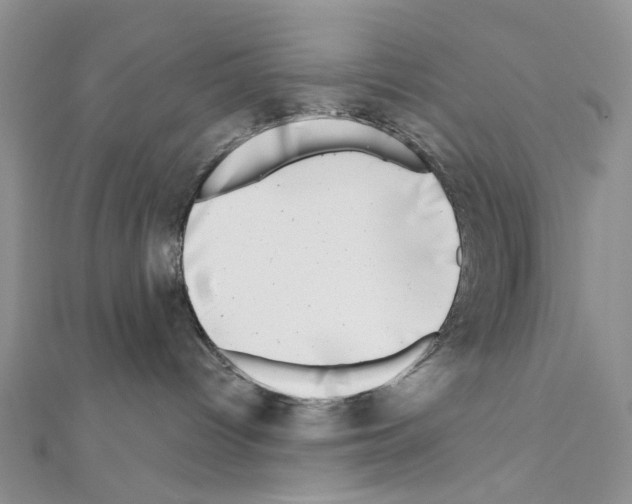 X0000111000096200907311040