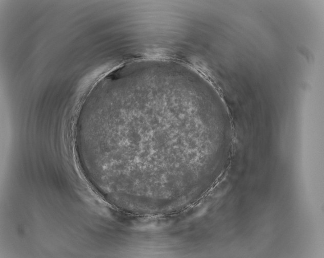 X0000111000097200907311039