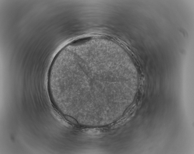 X0000111000100200907311039