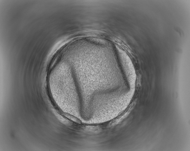 X0000111000101200907311039