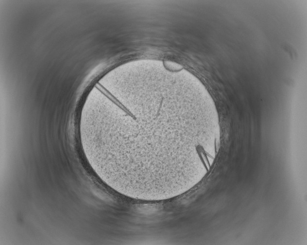 X0000111000102200907311039