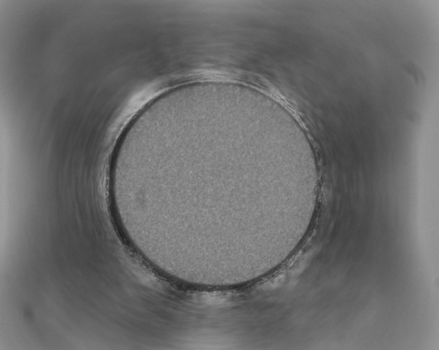 X0000111000103200907311039