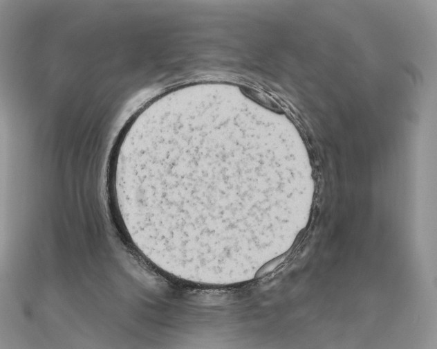 X0000111000104200907311039