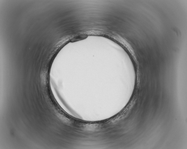 X0000111000105200907311039