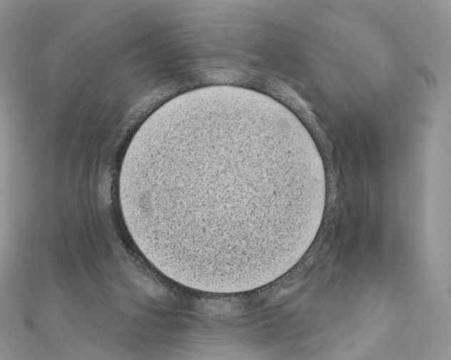 X0000111000106200907311039