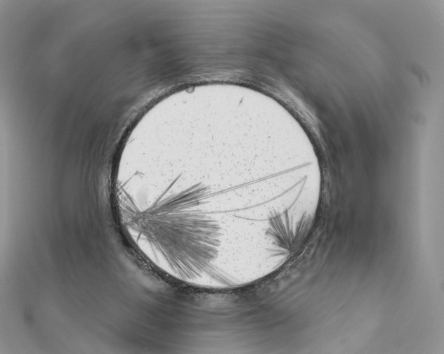 X0000111000107200907311039