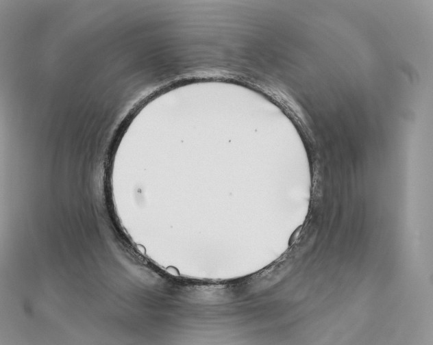 X0000111000108200907311039