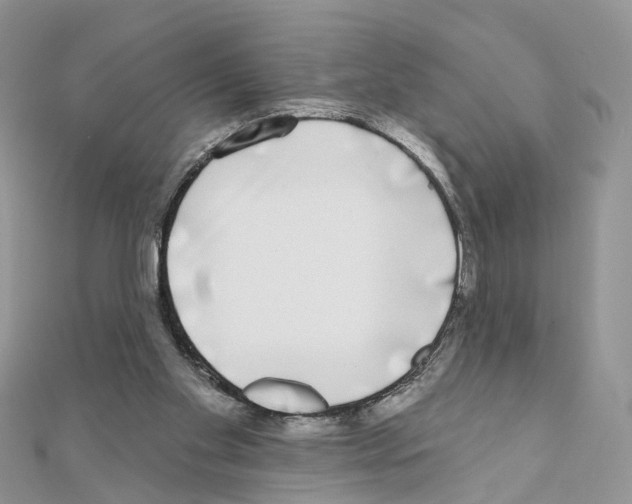 X0000111000109200907311039