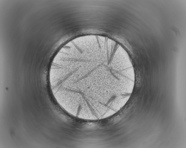 X0000111000111200907311039