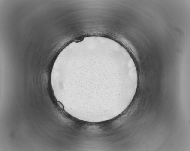 X0000111000113200907311039