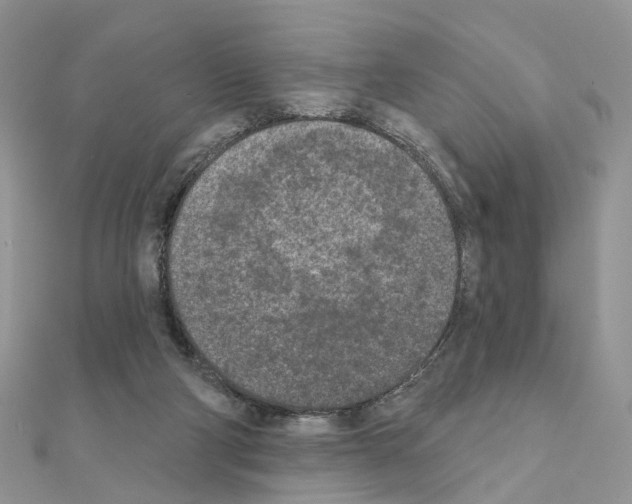 X0000111000114200907311039