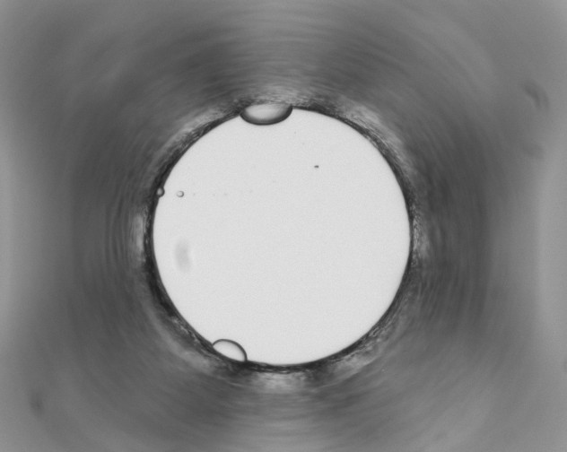 X0000111000115200907311039