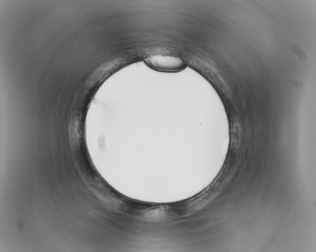 X0000111000116200907311039