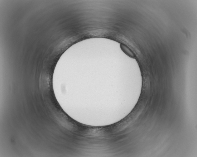 X0000111000117200907311039