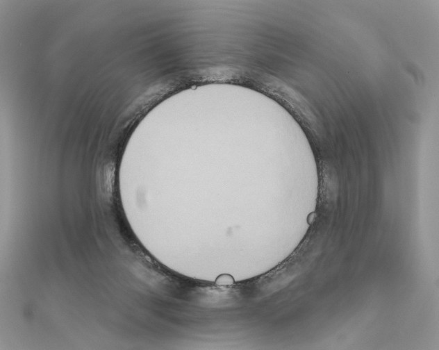 X0000111000118200907311039