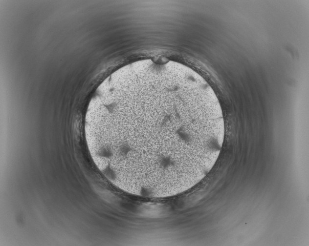 X0000111000119200907311039